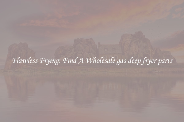 Flawless Frying: Find A Wholesale gas deep fryer parts