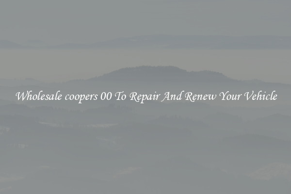 Wholesale coopers 00 To Repair And Renew Your Vehicle