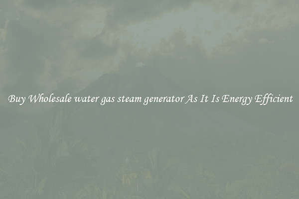Buy Wholesale water gas steam generator As It Is Energy Efficient