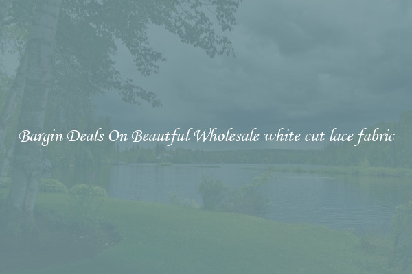 Bargin Deals On Beautful Wholesale white cut lace fabric