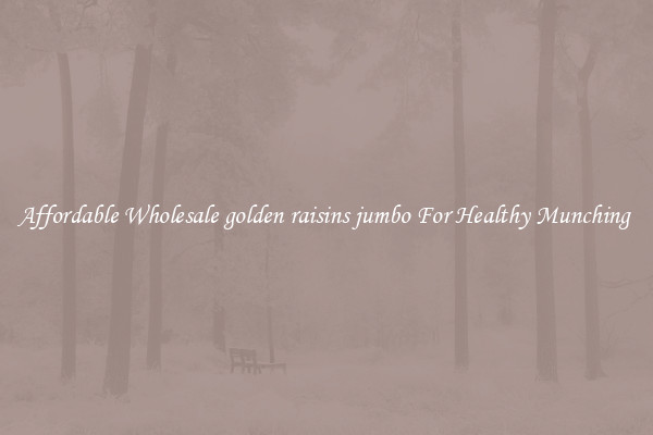 Affordable Wholesale golden raisins jumbo For Healthy Munching 