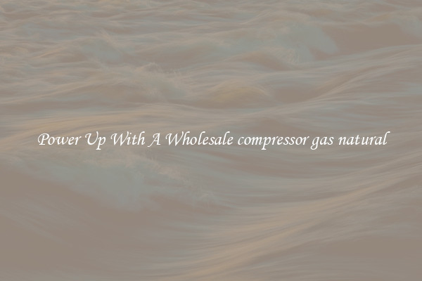 Power Up With A Wholesale compressor gas natural
