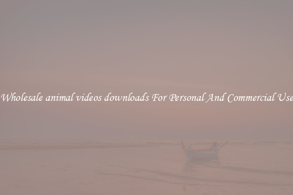 Wholesale animal videos downloads For Personal And Commercial Use