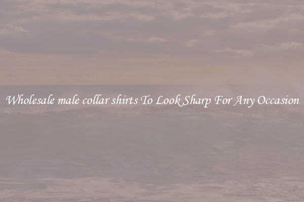Wholesale male collar shirts To Look Sharp For Any Occasion