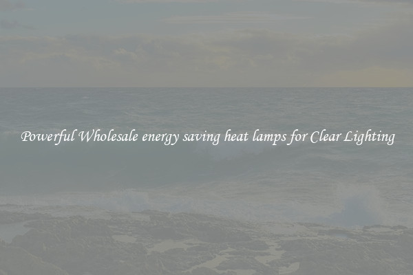 Powerful Wholesale energy saving heat lamps for Clear Lighting