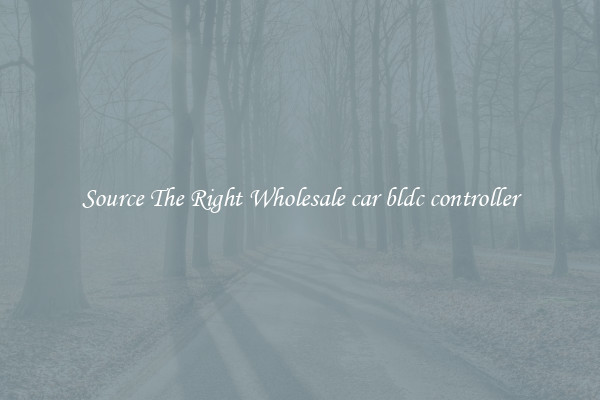 Source The Right Wholesale car bldc controller