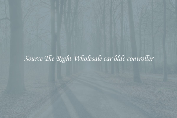 Source The Right Wholesale car bldc controller