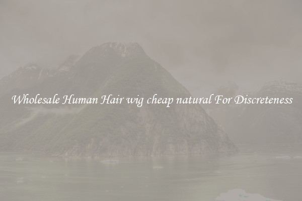 Wholesale Human Hair wig cheap natural For Discreteness