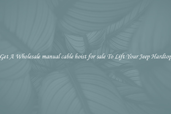Get A Wholesale manual cable hoist for sale To Lift Your Jeep Hardtop