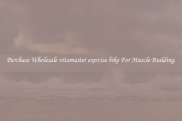 Purchase Wholesale vitamaster exercise bike For Muscle Building.