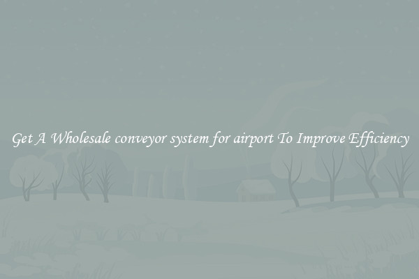 Get A Wholesale conveyor system for airport To Improve Efficiency