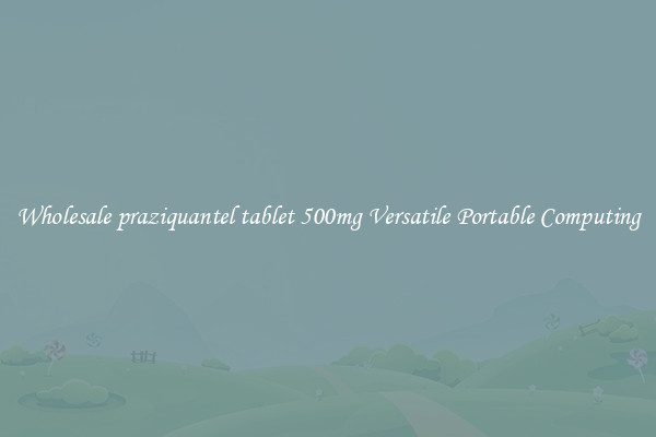 Wholesale praziquantel tablet 500mg Versatile Portable Computing