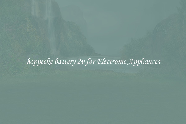 hoppecke battery 2v for Electronic Appliances
