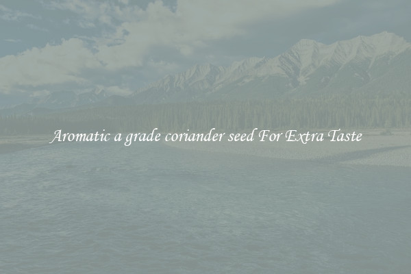 Aromatic a grade coriander seed For Extra Taste