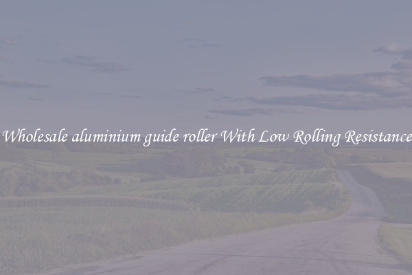 Wholesale aluminium guide roller With Low Rolling Resistance