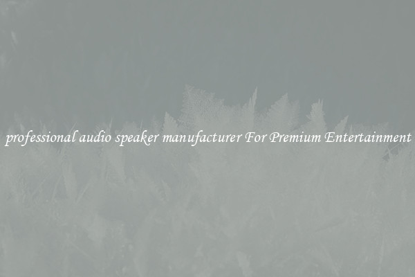 professional audio speaker manufacturer For Premium Entertainment