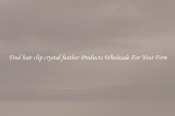 Find hair clip crystal feather Products Wholesale For Your Firm