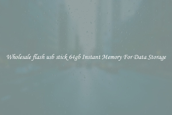 Wholesale flash usb stick 64gb Instant Memory For Data Storage