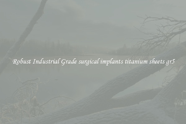 Robust Industrial Grade surgical implants titanium sheets gr5