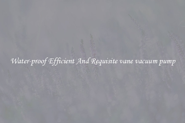 Water-proof Efficient And Requisite vane vacuum pump