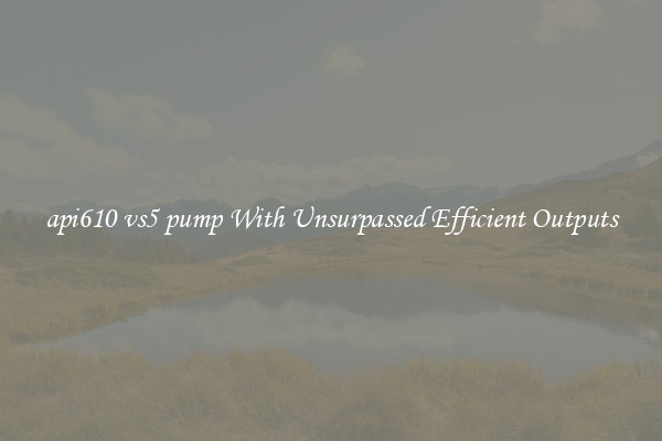 api610 vs5 pump With Unsurpassed Efficient Outputs