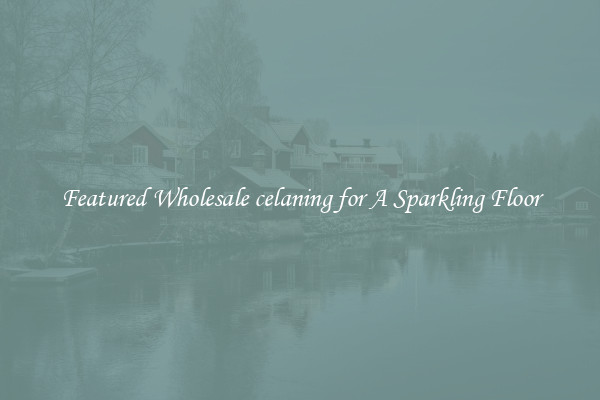 Featured Wholesale celaning for A Sparkling Floor