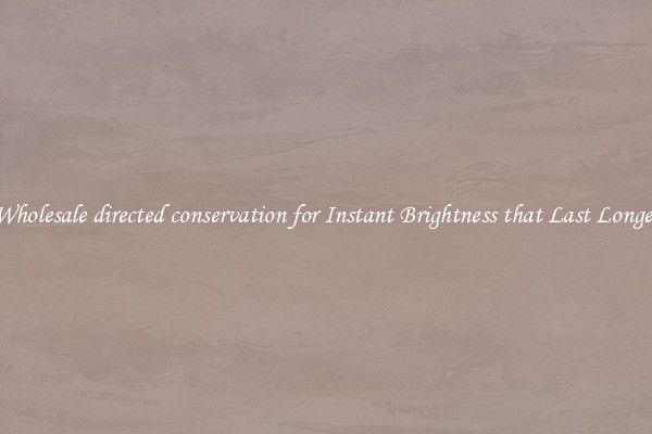 Wholesale directed conservation for Instant Brightness that Last Longer