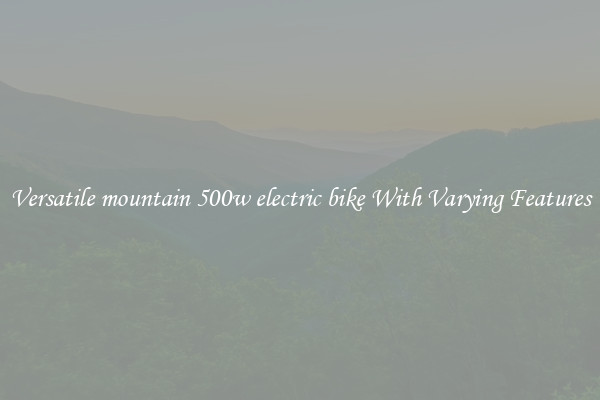Versatile mountain 500w electric bike With Varying Features