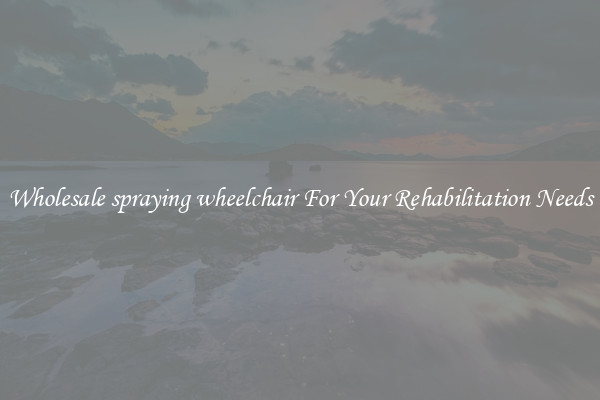 Wholesale spraying wheelchair For Your Rehabilitation Needs