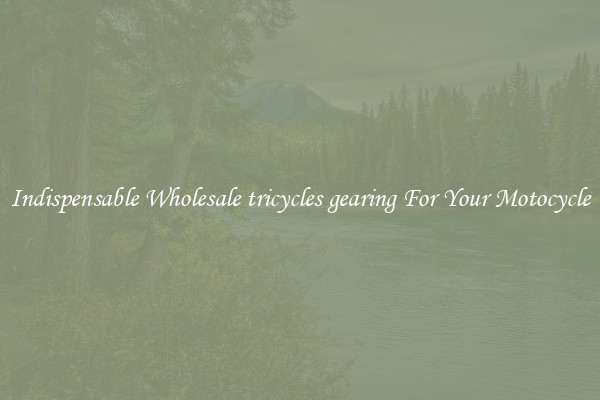 Indispensable Wholesale tricycles gearing For Your Motocycle