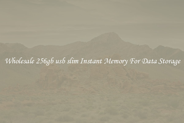 Wholesale 256gb usb slim Instant Memory For Data Storage