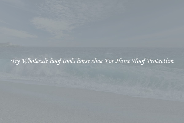 Try Wholesale hoof tools horse shoe For Horse Hoof Protection