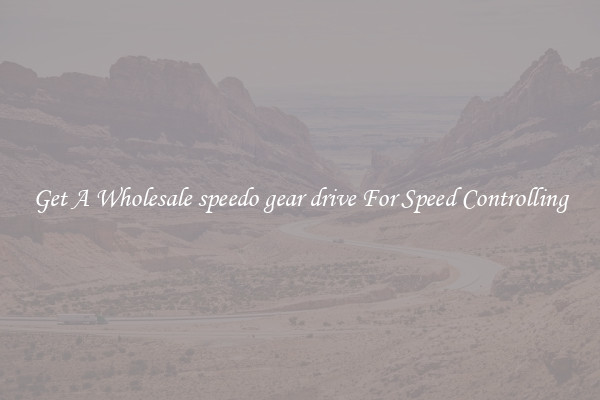 Get A Wholesale speedo gear drive For Speed Controlling