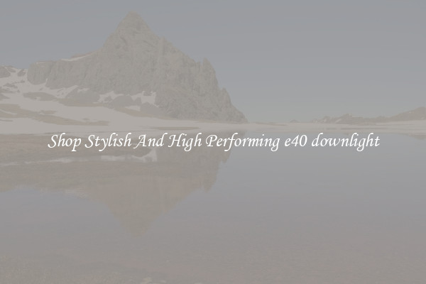 Shop Stylish And High Performing e40 downlight