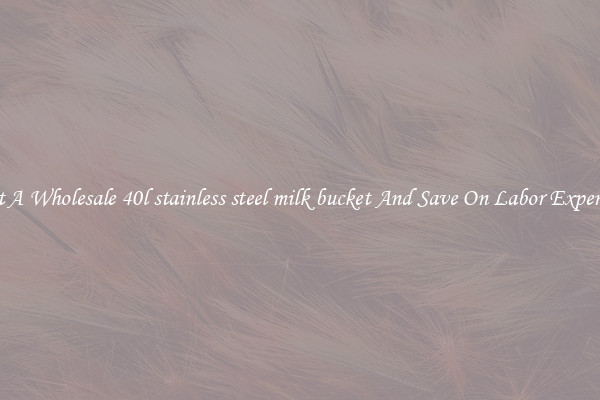 Get A Wholesale 40l stainless steel milk bucket And Save On Labor Expenses