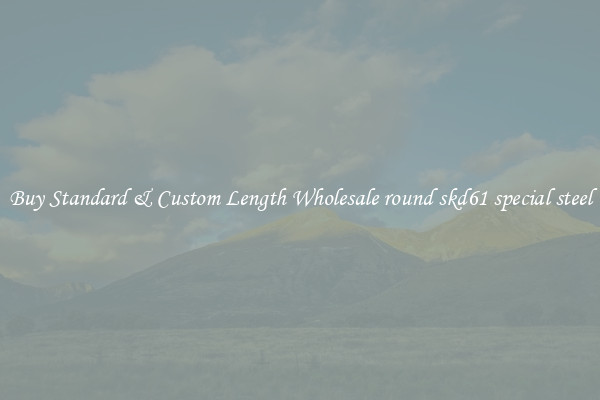 Buy Standard & Custom Length Wholesale round skd61 special steel